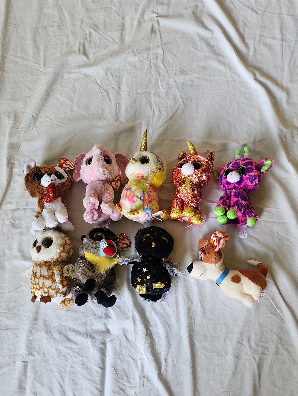 Ty Plush Small Pets Collection - Assorted Pink, Purple, Gold, Brown, White